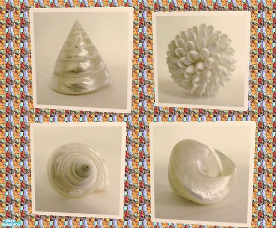 Sims 2 — Shells 1-White by mom_of2boyz — This is a set of four seashell prints that would look nice anywhere, but