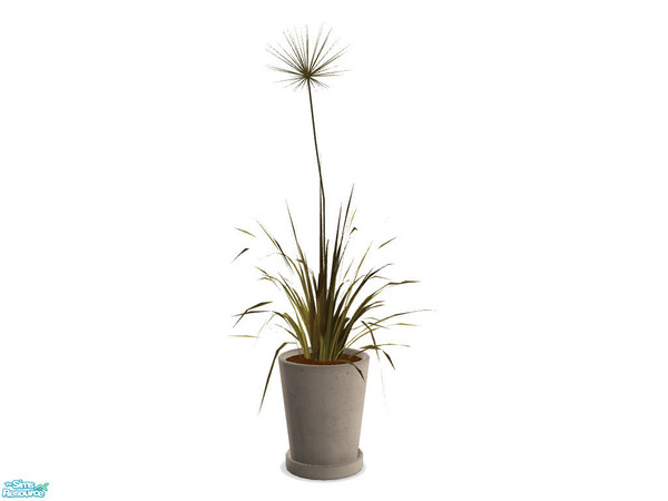 Sims 2 — Lami Grass 1 by n-a-n-u — 