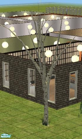 Sims 2 — dead sapling by apemassie — for the haunted houses
