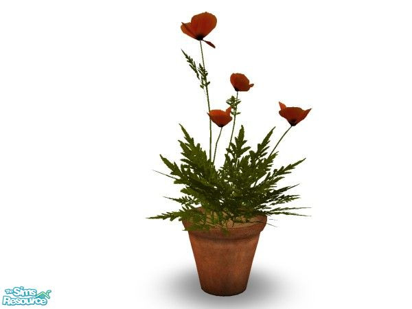Sims 2 — Mao Poppy by n-a-n-u — 