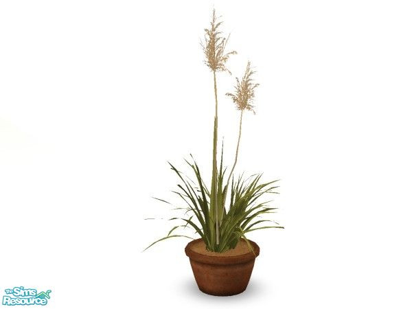 Sims 2 — Mao Grass 1 by n-a-n-u — 