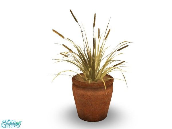 Sims 2 — Mao Grass 2 by n-a-n-u — 