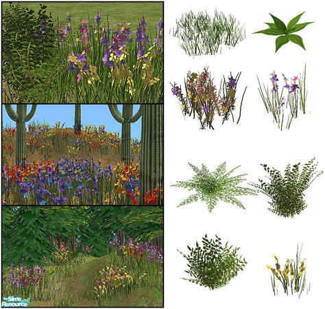 Sims 2 — Wildflowers by sim_man123 — New plant set, contains 8 meshes and 27 various recolors. Recolors come in regular