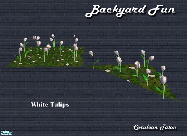 Sims 2 — Backyard Fun - White Tulips by Cerulean Talon — Decorative and skill building combine to make these flowers a