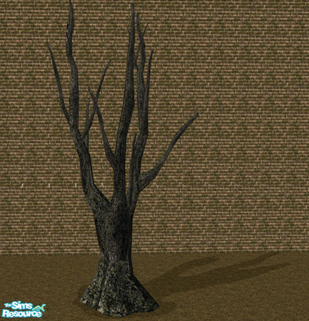Sims 2 — Tombstone - Tree I by Elena. — 