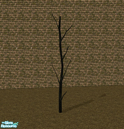 Sims 2 — Tombstone - Tree V by Elena. — 