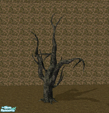 Sims 2 — Tombstone - Tree VIII by Elena. — 