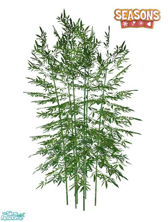 Sims 2 — Bamboo SEASONS - BASE by Murano — BASE bamboo.