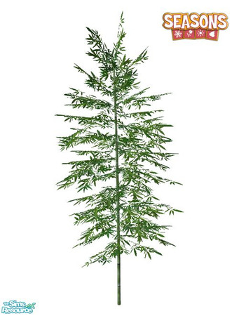 Sims 2 — Bamboo SEASONS - Medium 01 by Murano — Medium 01 bamboo.