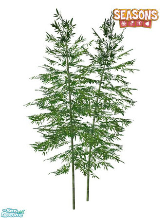 Sims 2 — Bamboo SEASONS - Medium 02 by Murano — Medium 02 bamboo.