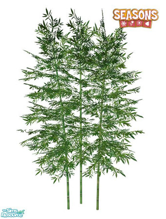 Sims 2 — Bamboo SEASONS - Medium 03 by Murano — Medium 03 bamboo.