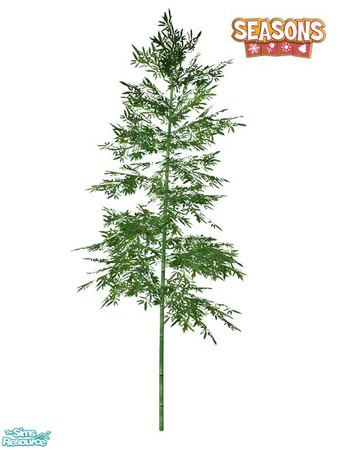 Sims 2 — Bamboo SEASONS - Large 01 by Murano — Large 01 bamboo.
