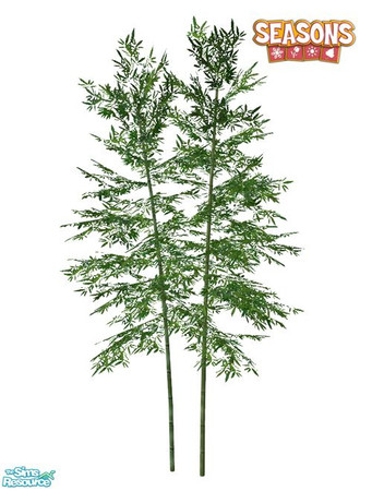 Sims 2 — Bamboo SEASONS - Large 02 by Murano — Large 02 bamboo.