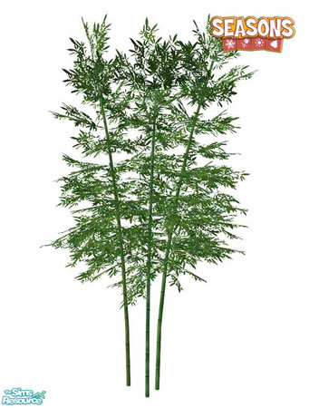 Sims 2 — Bamboo SEASONS - Large 03 by Murano — Large 03 bamboo.