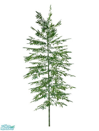 Sims 2 — Bamboo BASE GAME - Medium 01 by Murano — Medium 01 bamboo.