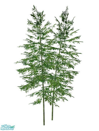 Sims 2 — Bamboo BASE GAME - Medium 02 by Murano — Medium 02 bamboo.
