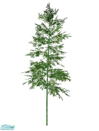 Sims 2 — Bamboo BASE GAME - Large 01 by Murano — Large 01 bamboo.