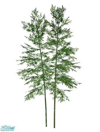 Sims 2 — Bamboo BASE GAME - Large 02 by Murano — Large 02 bamboo.