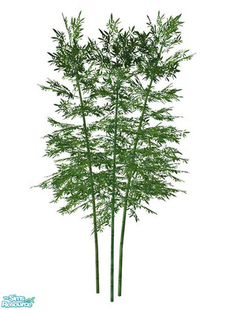 Sims 2 — Bamboo BASE GAME - Large 03 by Murano — Large 03 bamboo.