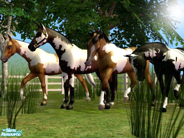 Sims 2 — Basic Paint Horse Set by xtinabobina — FINALLY, I\'m getting around to uploading these. Here are my FOUR free
