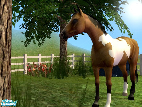 Sims 2 — Basic Paint Horse Set - Buckskin Paint by xtinabobina — \"Buckskin Paint.\" This is the only horse in