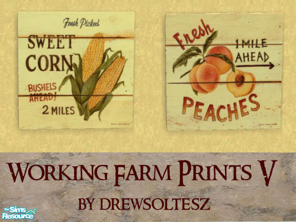 Sims 2 — Working Farm Prints V by drewsoltesz — A recolour of the Nightlife poster object \"A Stroke\", here