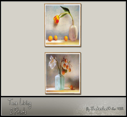 Sims 3 — Tane 2 Prints by Shakeshaft — Part of the Tane Living Extras Set, the Tane 2 Prints as 1 recolourable part. 
