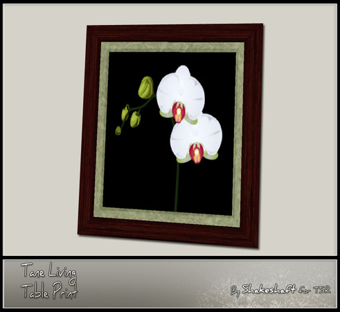 Sims 3 — Tane Table Print by Shakeshaft — Part of the Tane Living Extras Set, the Tane Table Print as 2 recolourable