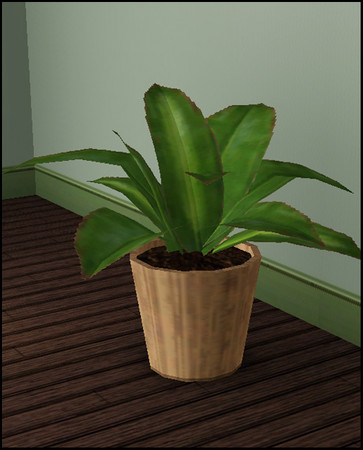 Sims 3 — Veral Dining Plant by sim_man123 — Plant from my Veral Dining Room. Made by sim_man123 from TSR.