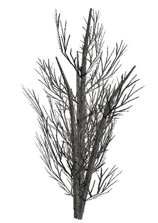 Sims 3 — Dead Tree 2 by sim_man123 — Dead tree 2, made by sim_man123 from TSR.