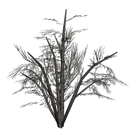 Sims 3 — Dead Tree 3 by sim_man123 — Dead tree 3, made by sim_man123 from TSR.