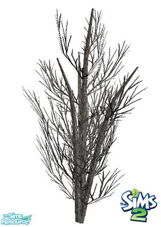 Sims 2 — Dead Tree 2 by sim_man123 — Dead tree 2 from my Dead Trees - TS2 set. TSRAA.