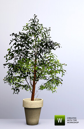 Sims 3 — Tabo Tree Small by n-a-n-u — by nanu