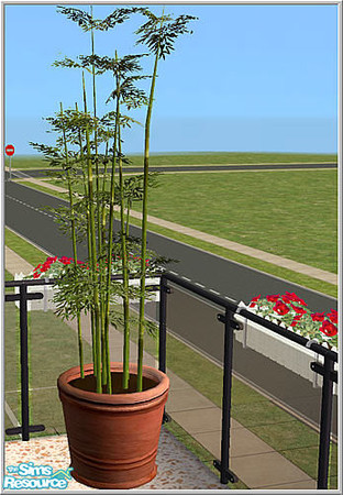 Sims 2 — Balcony set - B43 Potted  Bamboo by Birgit43 — 