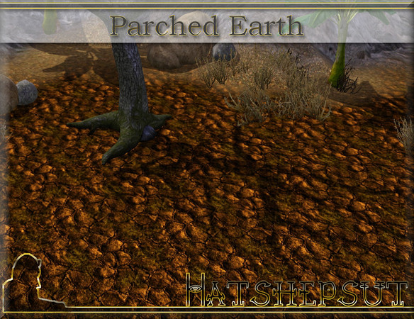 Sims 3 — Parched Earth by hatshepsut — I think this patch needs watering! 
