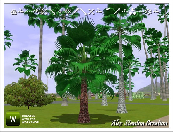 Sims 3 — Washingtonia robusta (5m) by alex_stanton1983 — Mexican fan palm is a slender and flexible palm tree, which