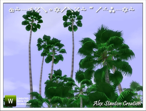 Sims 3 — Washingtonia robusta (16m) by alex_stanton1983 — Mexican fan palm is a slender and flexible palm tree, which