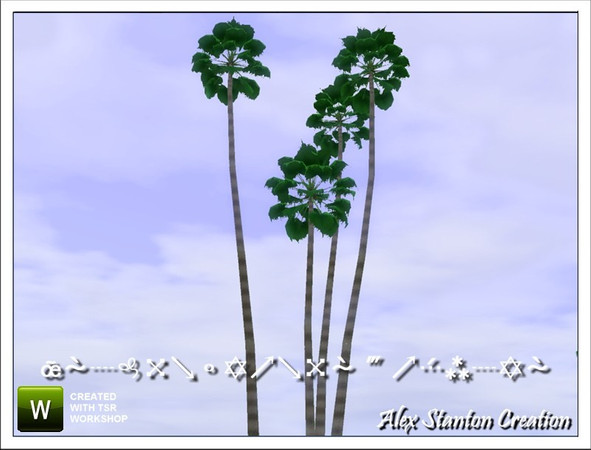 Sims 3 — Washingtonia robusta (23m) by alex_stanton1983 — Mexican fan palm is a slender and flexible palm tree, which