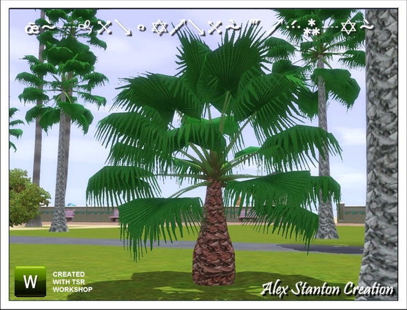 Sims 3 — Washingtonia robusta (3m) by alex_stanton1983 — Mexican fan palm is a slender and flexible palm tree, which