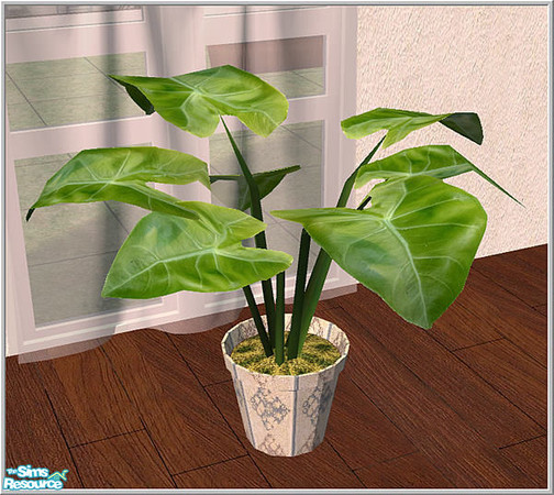 Sims 2 — Living-room1 _TSR new - B43 Alocasiacalidora Plant by Birgit43 — 