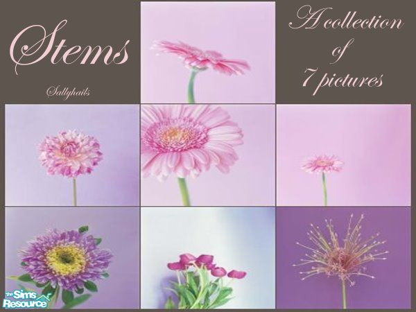 Sims 2 — Stems by sallyhails — A collection of 7 pictures, all found under \'A Stroke\'