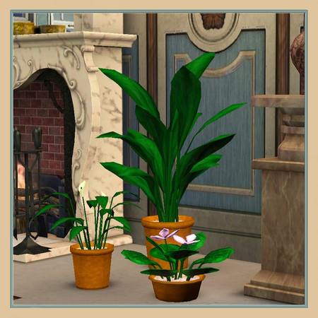 Sims 3 — Plants by Dgandy — Banana Leaf plant, Peace Lily and Cyclamen. Flowers, leaves and pot can be recolored.