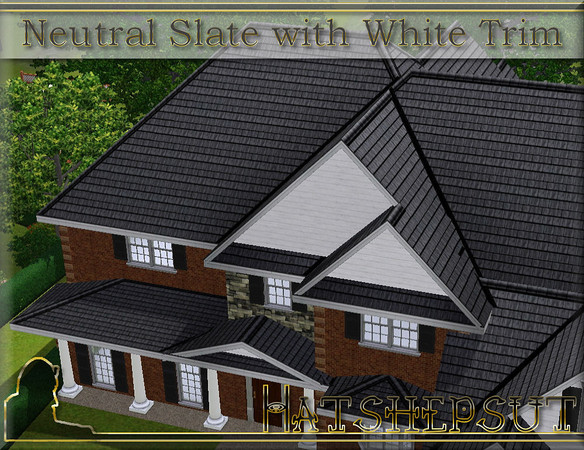 Sims 3 — Neutral Slate with White Trim by hatshepsut — White trim slate roof