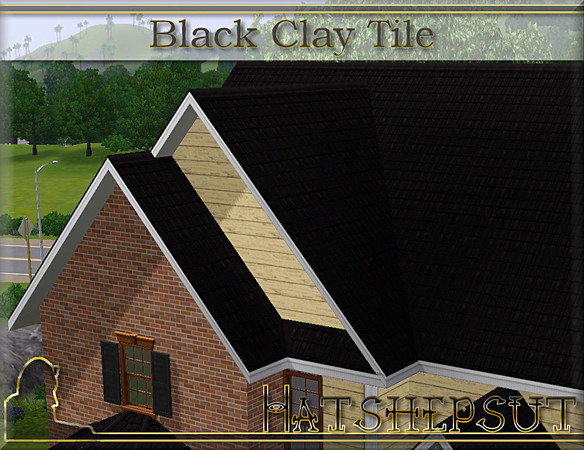 Sims 3 — Black Clay Tile by hatshepsut — A weathered clay tile roof