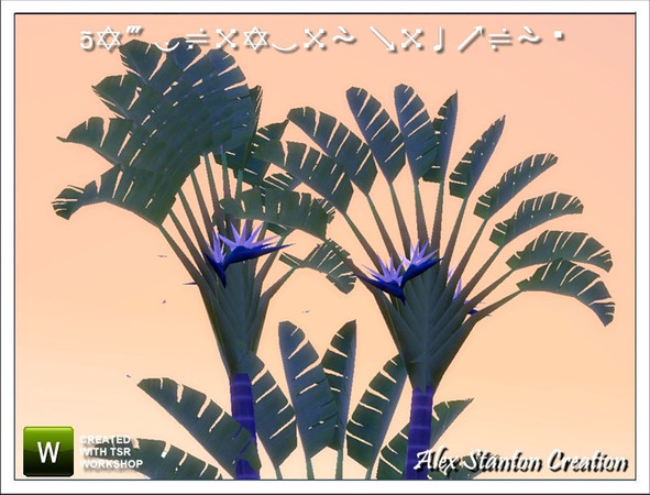 Sims 3 —  by alex_stanton1983 — This white Bird of paradise is a plant of big development. Flowers blue and white are