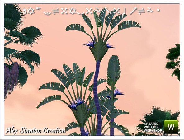 Sims 3 —  by alex_stanton1983 — This white Bird of paradise is a plant of big development. Flowers blue and white are