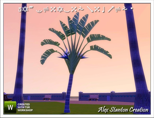 Sims 3 —  by alex_stanton1983 — This white Bird of paradise is a plant of big development. Flowers blue and white are