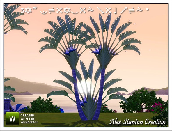 Sims 3 —  by alex_stanton1983 — This white Bird of paradise is a plant of big development. Flowers blue and white are