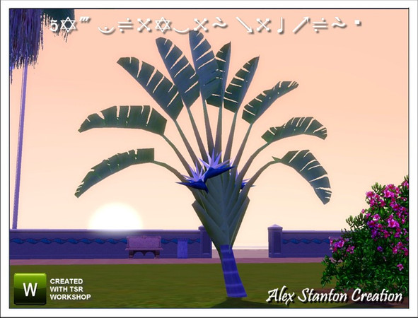 Sims 3 —  by alex_stanton1983 — This white Bird of paradise is a plant of big development. Flowers blue and white are