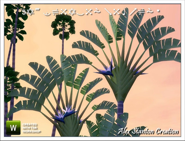 Sims 3 —  by alex_stanton1983 — This white Bird of paradise is a plant of big development. Flowers blue and white are